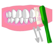 札幌南区の北の沢夜間歯科・矯正歯科のコラム7。歯磨きのはなし。予防歯科。